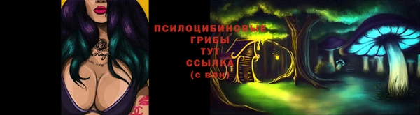 молекула духа Карпинск