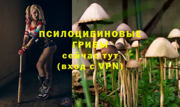 хмурый Карталы