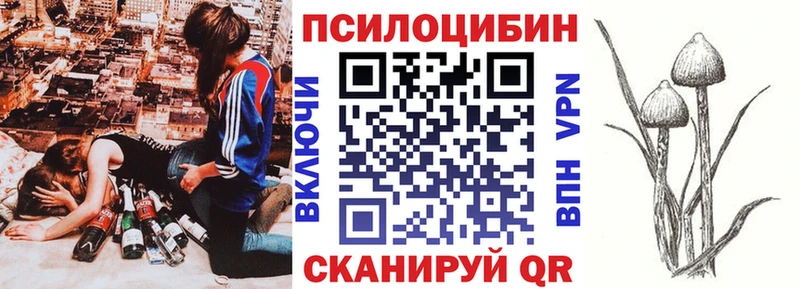 купить закладку  Казань  Псилоцибиновые грибы прущие грибы 