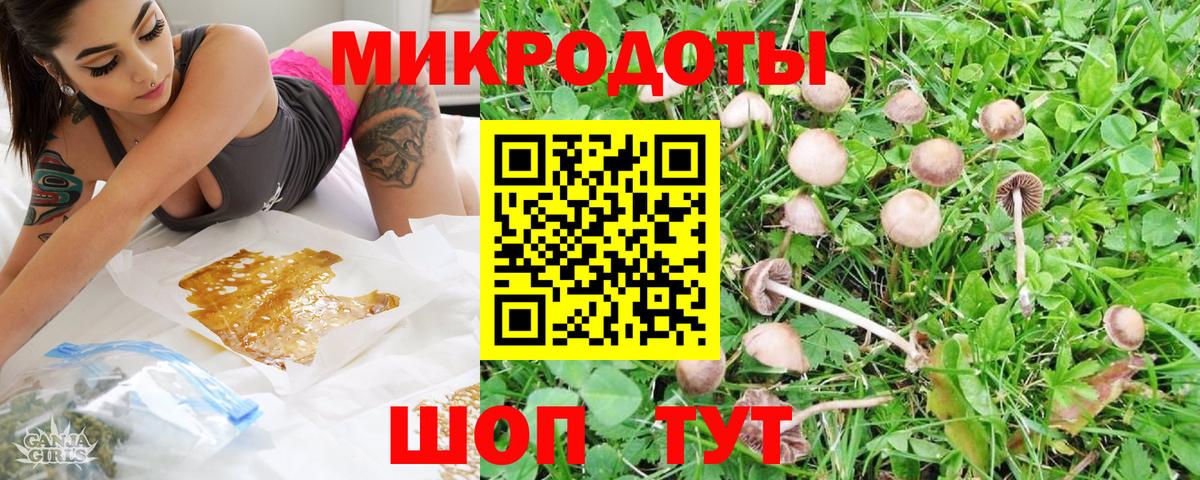 Псилоцибиновые грибы прущие грибы  Вход с VPN  Казань  Псилоцибиновые грибы Cubensis 